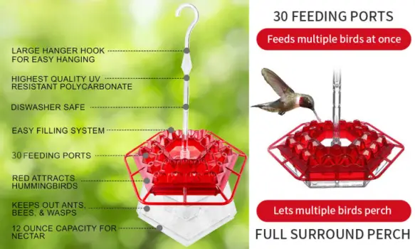 Birdyl Hummingbird Feeder features